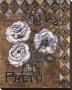 Rosas Preto by Shari White Limited Edition Pricing Art Print