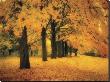 Gold Of Autumn East by M. Ellen Cocose Limited Edition Print