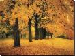 Gold Of Autumn East by M. Ellen Cocose Limited Edition Pricing Art Print