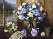Hydrangeas In Italy by Hope Reis Limited Edition Print