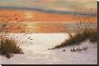 Summer Sunset by Diane Romanello Limited Edition Print