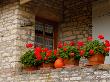 Potted Geraniums On Stone Wall, Burgundy, France by Lisa S. Engelbrecht Limited Edition Print