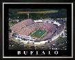 Buffalo Bills by Brad Geller Limited Edition Pricing Art Print