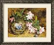 Apple Blossom And A Bird's Nest by H. Barnard Grey Limited Edition Pricing Art Print