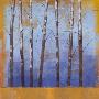 Birch Trees Ii by Cheryl Martin Limited Edition Pricing Art Print