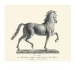 Etching Back View, Cavallo by Antonio Canova Limited Edition Print