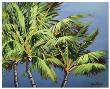 3 Crazy Palms by Jean Bradley Limited Edition Print