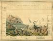 Comparative View Of The Heights Of The Principal Mountains In The World, C.1816 by Charles Smith Limited Edition Print