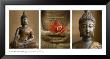 Spiritual Knowledge by Tom Weber Limited Edition Print