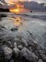 Sunrise In Man O War Cove, Jurassic Coast, Dorset, England by Adam Burton Limited Edition Print