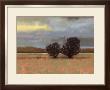 Approaching Storm I by Norman Wyatt Jr. Limited Edition Print