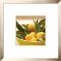 Kumquats by James Carrier Limited Edition Pricing Art Print