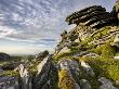 Black Tor, Dartmoor National Park, Devon, England, 2008 by Adam Burton Limited Edition Print