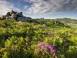 Summer At Saddle Tor, Dartmoor National Park, Devon, England, 2008 by Adam Burton Limited Edition Print