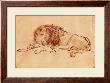 Lion Resting by Rembrandt Van Rijn Limited Edition Print