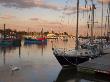 Swan In Lymington Harbour With Moored Yachts And Fishing Boats. New Forest, Hampshire, England by Adam Burton Limited Edition Print