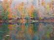 Autumn Colors by Nejdet Duzen Limited Edition Pricing Art Print