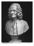 Bust Of Voltaire by Jean-Antoine Houdon Limited Edition Pricing Art Print