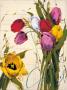 Bouquet Of Tulips I by Antonio Massa Limited Edition Print