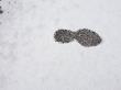 Footprint In The Snow by Stephen Alvarez Limited Edition Pricing Art Print