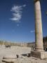 Oval Plaza In The Ruins Of The Ancient City Of Jerash by Taylor S. Kennedy Limited Edition Print