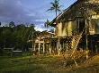 Iban Tribal Longhouse Built On Stilts by Tim Laman Limited Edition Print