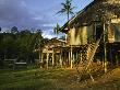 Iban Tribal Longhouse Built On Stilts by Tim Laman Limited Edition Pricing Art Print