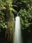 Emerald Pool Waterfall At Morne Trois Pitons National Park by Tim Laman Limited Edition Pricing Art Print