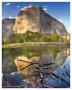 El Capitan Reflections by Harold Davis Limited Edition Print