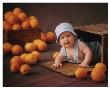 Orange You Glad by Linda Johnson Limited Edition Pricing Art Print
