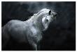 Moonlight Silver Stallion by Melanie Snowhite Limited Edition Pricing Art Print