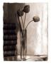 Tulips For Readers I by Richard Sutton Limited Edition Pricing Art Print