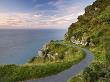 Clifftop Footpath At Valley Of The Rocks, Exmoor National Park, Devon, England, United Kingdom by Adam Burton Limited Edition Print