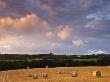 Round Hay Bales In A Field Near Morchard Bishop, Devon, England, United Kingdom, Europe by Adam Burton Limited Edition Print