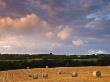 Round Hay Bales In A Field Near Morchard Bishop, Devon, England, United Kingdom, Europe by Adam Burton Limited Edition Print