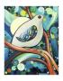 Blue Bird by Penny Keenan Limited Edition Print