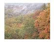 Brown County Overlook 1 by Danny Burk Limited Edition Print