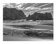 Myers Creek Beach 1 by Michael Polk Limited Edition Pricing Art Print