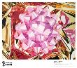 Jeff Koons Pricing Limited Edition Prints