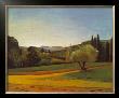 Southern France by Andre Derain Limited Edition Pricing Art Print
