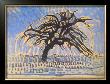 L'arbre, 1908 by Piet Mondrian Limited Edition Print