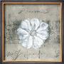 White Flower by Cristina Valades Limited Edition Print