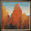 The Maples Ii by Peter Colbert Limited Edition Print