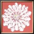 Brilliant Blossom Ii by Chariklia Zarris Limited Edition Pricing Art Print