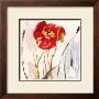 Crimson Poppy Iii by Marysia Limited Edition Pricing Art Print