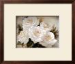 White Roses Iii by Igor Levashov Limited Edition Pricing Art Print