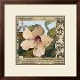 Hibiscus I by Di Grazzia Limited Edition Print