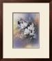 Butterfly And Orchids by T. C. Chiu Limited Edition Print