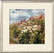 Seaside Poppies by Marie Egner Limited Edition Print