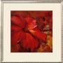 Red Hibiscus I by Carol Hallock Limited Edition Print